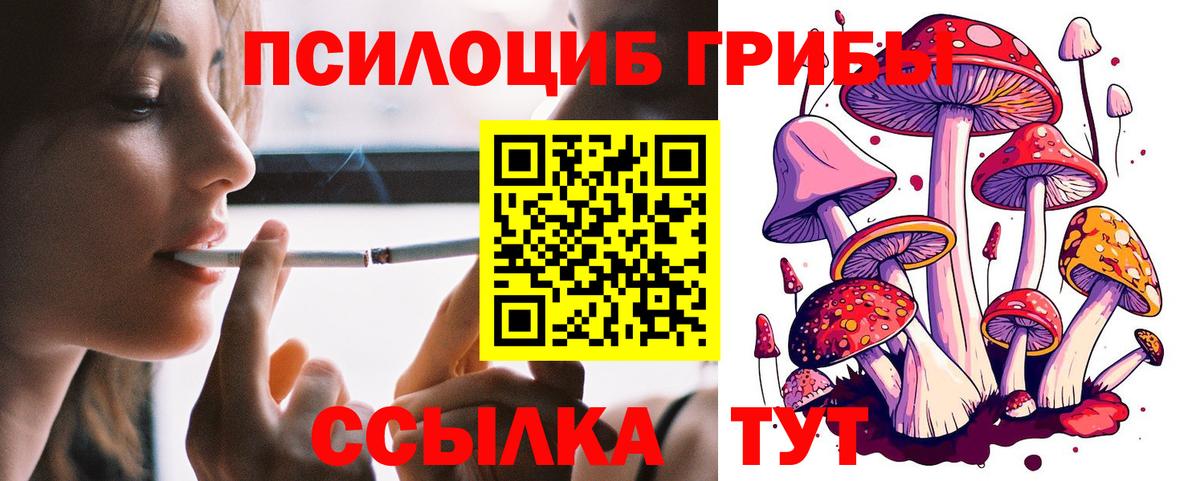 Петропавловск-Камчатский  Псилоцибиновые грибы ЛСД  Вход с VPN 